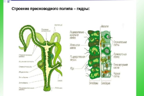 Омг онион сайт ссылка оригинал