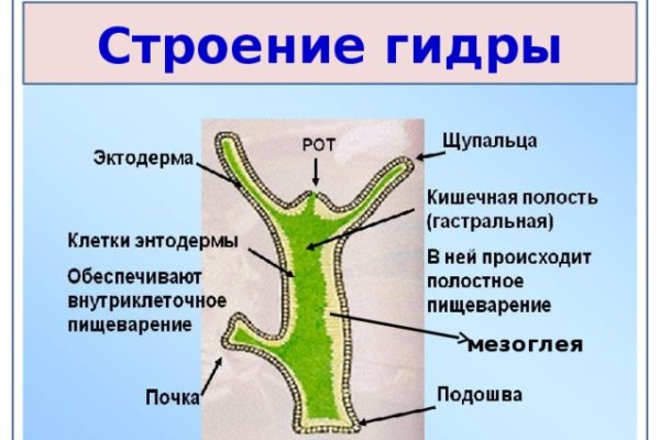 Кто создал сайт мега