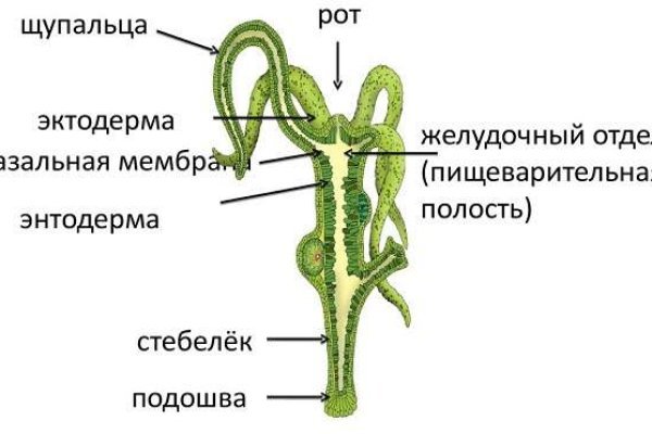 Что вместо блэкспрут сейчас